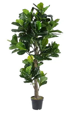 Andrea Bizzotto Pianta Artificiale Ficus Lyrata con Vaso 153 foglie H190 cm Prezzo Basso