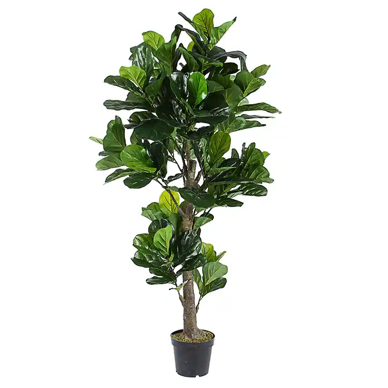 Andrea Bizzotto Pianta Artificiale Ficus Lyrata con Vaso 153 foglie H190 cm Prezzo Basso