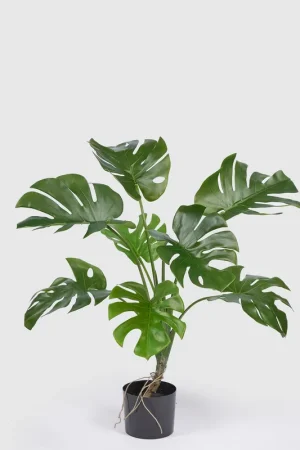 Bestseller EDG Enzo De Gasperi Pianta Artificiale con Vaso Monstera H100 cm