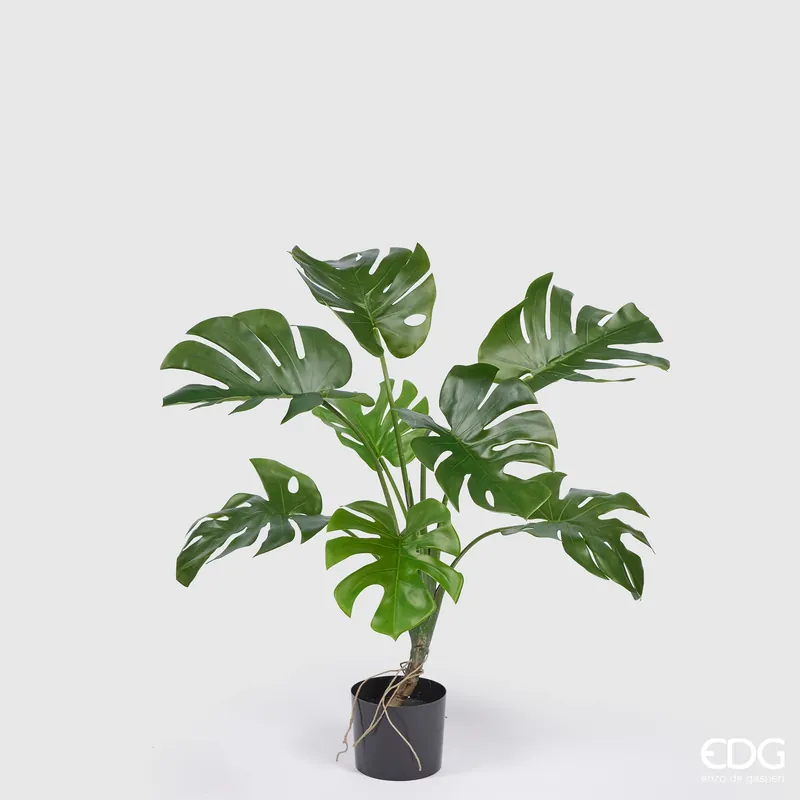 Bestseller EDG Enzo De Gasperi Pianta Artificiale con Vaso Monstera H100 cm