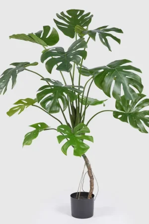 A Buon Prezzo EDG Enzo De Gasperi Pianta Artificiale con Vaso Monstera H150 cm