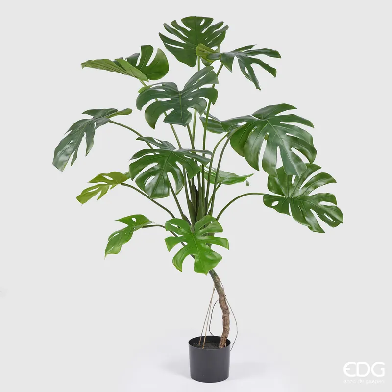 A Buon Prezzo EDG Enzo De Gasperi Pianta Artificiale con Vaso Monstera H150 cm