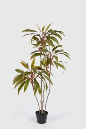 Compra Adesso EDG Enzo De Gasperi Pianta Artificiale Dracena con Vaso H120 cm