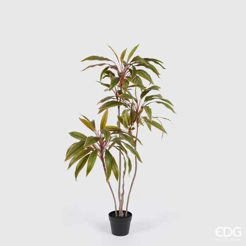 Compra Adesso EDG Enzo De Gasperi Pianta Artificiale Dracena con Vaso H120 cm