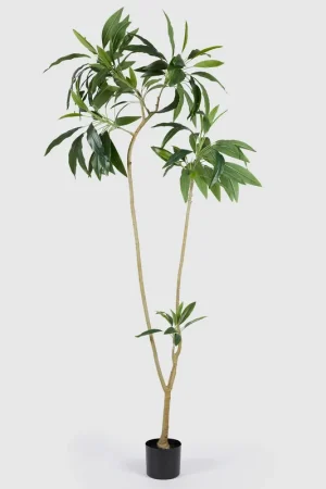 Consegna Rapida EDG Enzo De Gasperi Pianta Artificiale Dracena con Vaso H200 cm