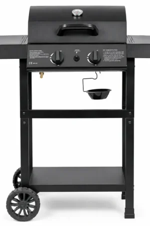 Prezzo Ridotto Andrea Bizzotto Barbecue a Gas Louis 2 Bruciatori