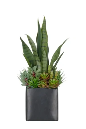 Spedito Oggi Gasper Composizione di piante grasse H55 cm con Vaso in Metallo