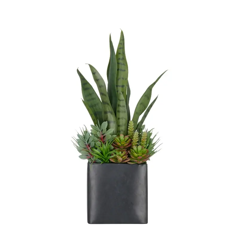 Spedito Oggi Gasper Composizione di piante grasse H55 cm con Vaso in Metallo