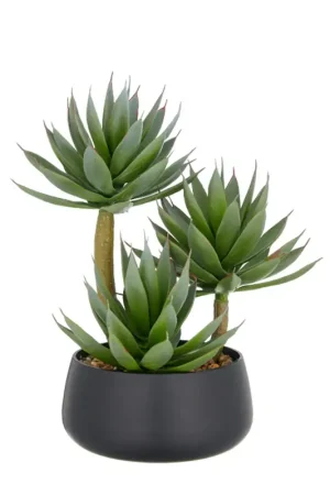Professionale Gasper Pianta di Agave Glow H28 cm con Vaso