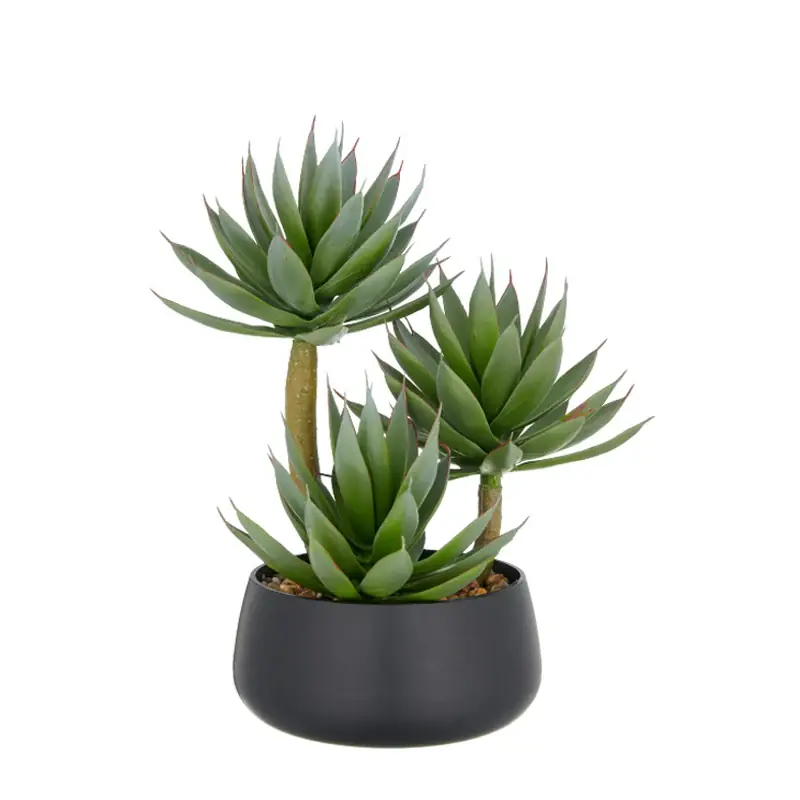 Professionale Gasper Pianta di Agave Glow H28 cm con Vaso