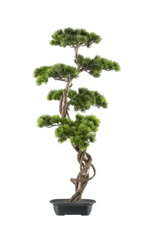 Gasper Bonsai Artificiale 90x40 cm con Vaso in Plastica Nuova Collezione