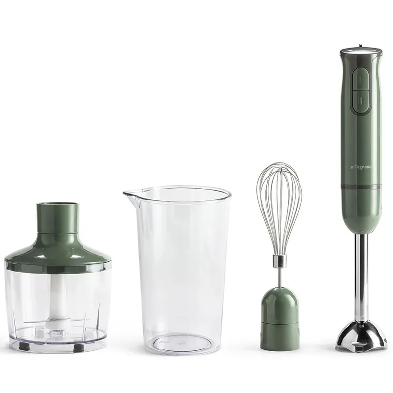 Tognana Frullatore a Immersione 3 in 1 Iridea 600W Verde Salvia Spedizione Espresso