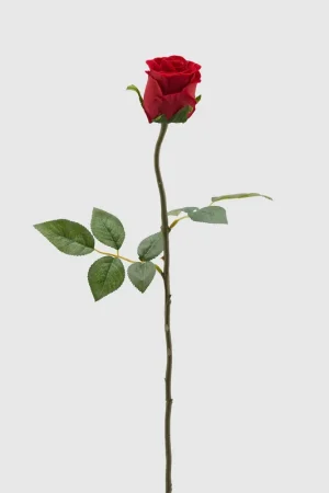 Acquista Ora EDG Enzo De Gasperi Ramo Rosa Velvet H60 cm