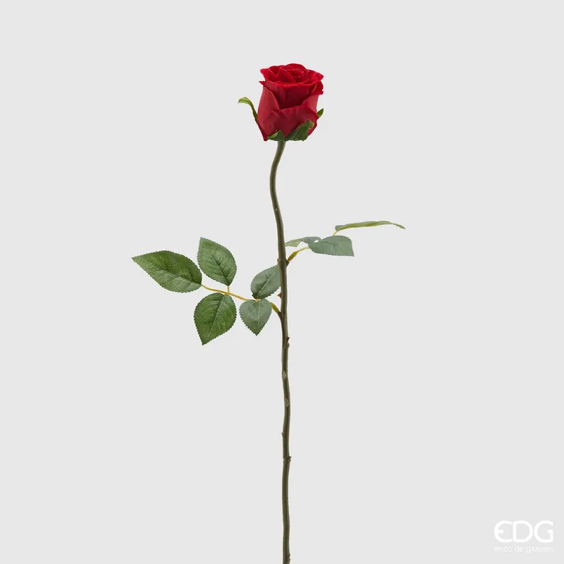 Acquista Ora EDG Enzo De Gasperi Ramo Rosa Velvet H60 cm
