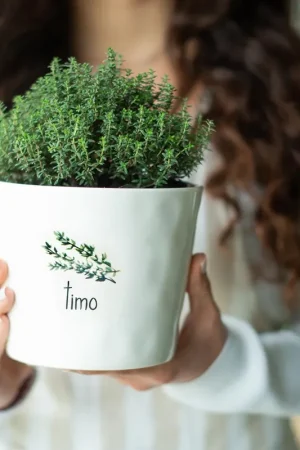 Sconto Simple Day Vaso Timo con Sottovaso D15 cm in Gres
