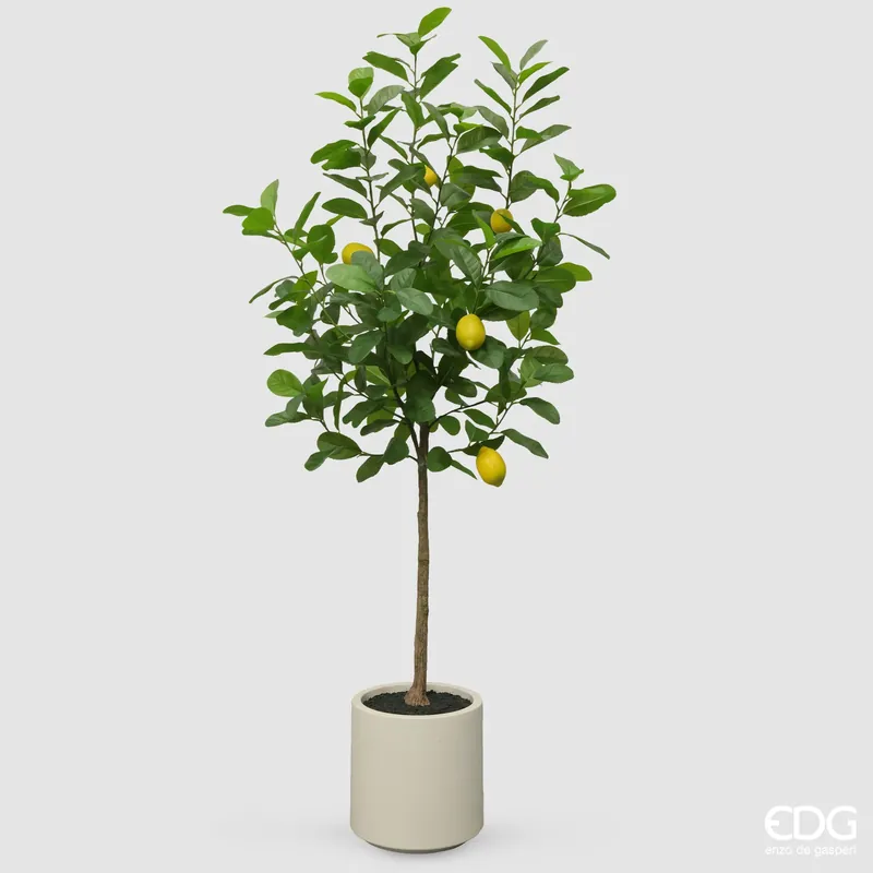 EDG Enzo De Gasperi Pianta Artificiale Limone Vogue con Vaso H160 cm Promozione Esclusiva