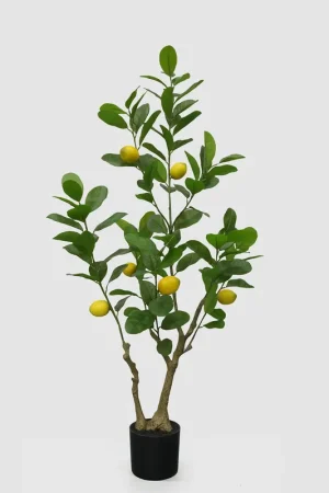 Compra Oggi Stesso EDG Enzo De Gasperi Pianta Artificiale Limone Vogue con Vaso H126 cm