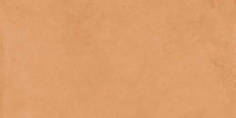 Compra Adesso Pavimento Rivestimento 60x120 Cm In Gres smaltato rettificato 9 mm Cotto Matt Ceramica Sant Agostino Vita CSACTT6012