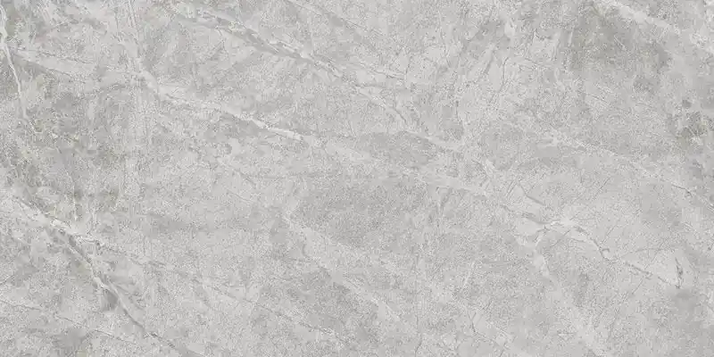 Pavimento Rivestimento 30x60 Cm Effetto Marmo Grigio Savoia Lucido Ceramica Sant Agostino Themar CSAGRSAK30 Ultime Pezzi