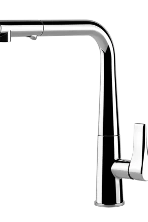 Miscelatore Monocomando Cucina Con Canna Girevole E Doccetta Estraibile Doppio Getto Cromo Proton 17177 Gessi Direttamente Dal Produttore