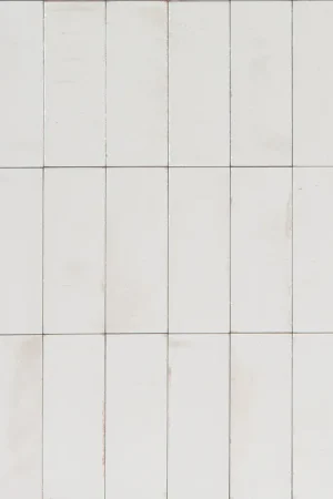 Pavimento Rivestimento 5x15 In Gres Porcellanato Bianco Glossy Ceramiche Ragno Gleeze 00R8HM00 Professionale