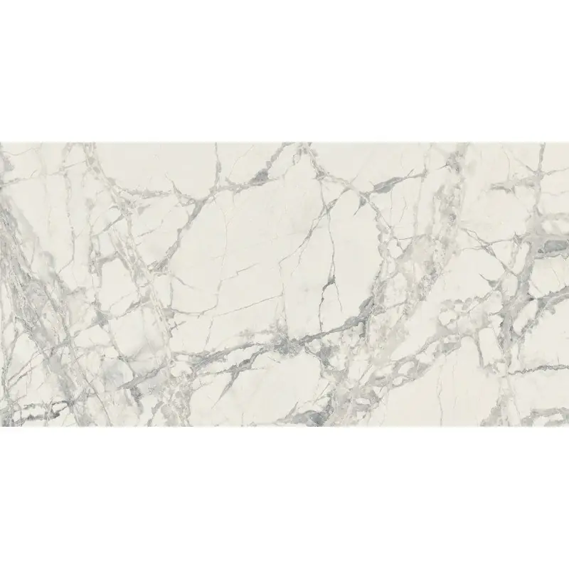 Must-Have Pavimento rivestimento 30x60 effetto marmo rettificato 9 mm mountain treasure glossy Prexious 755881 Rex Ceramiche