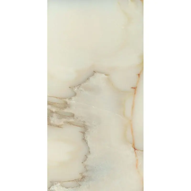 Pavimento rivestimento 60x120 effetto marmo rettificato 6 mm onyx blanc glossy Les Bijoux 765780 Rex Ceramiche Ultima Occasione