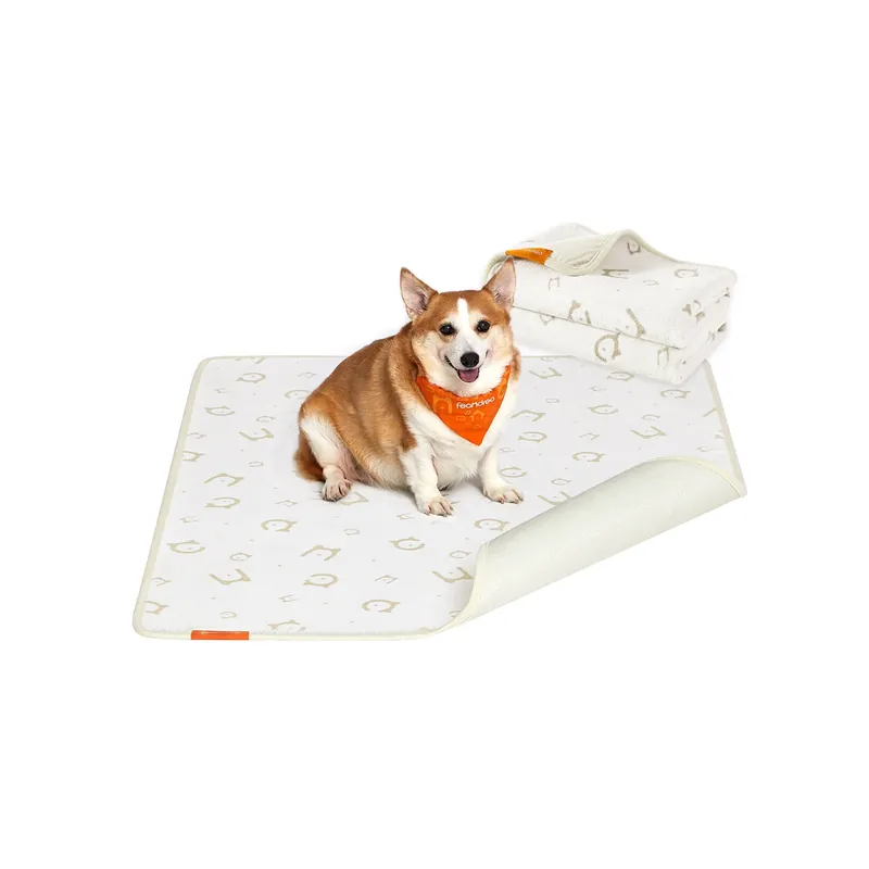 Tappeti per Addestramento per Cani Riutilizzabili Non Perdere