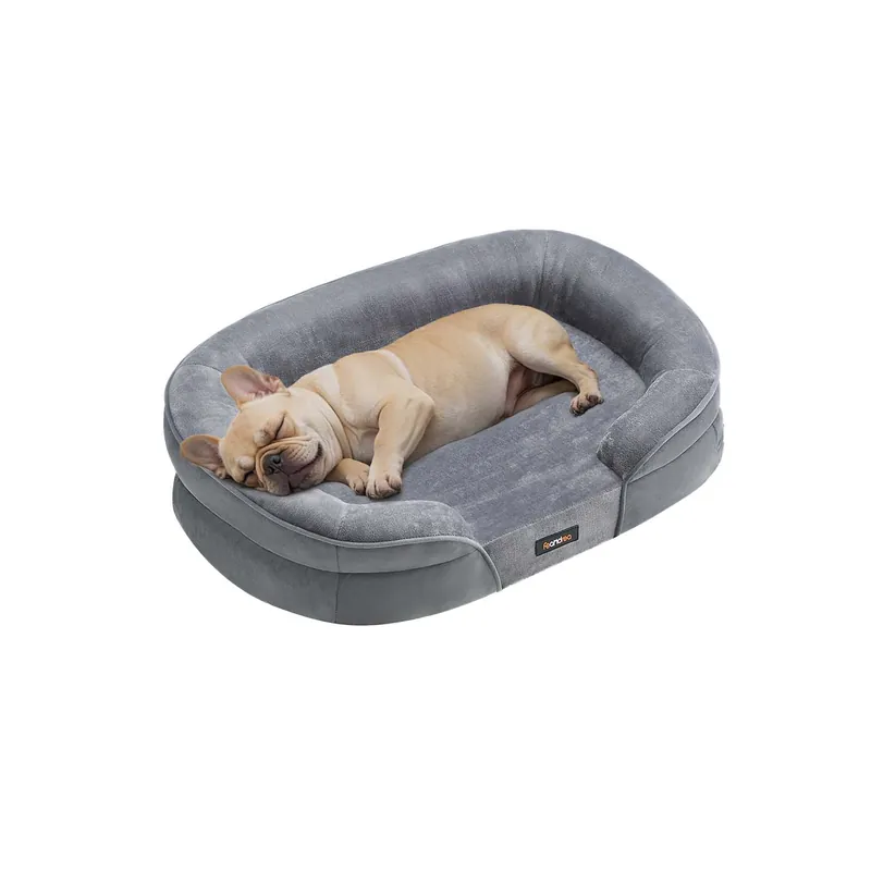 Cuccia per Cani di Taglia Grande Spedizione Espresso