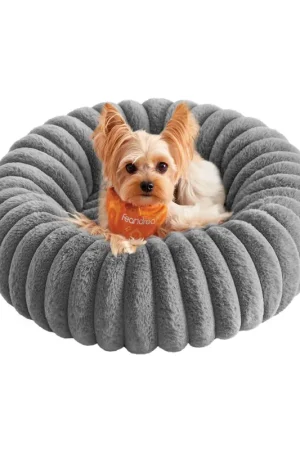 Cuccia per Cani e Gatti Compra Adesso
