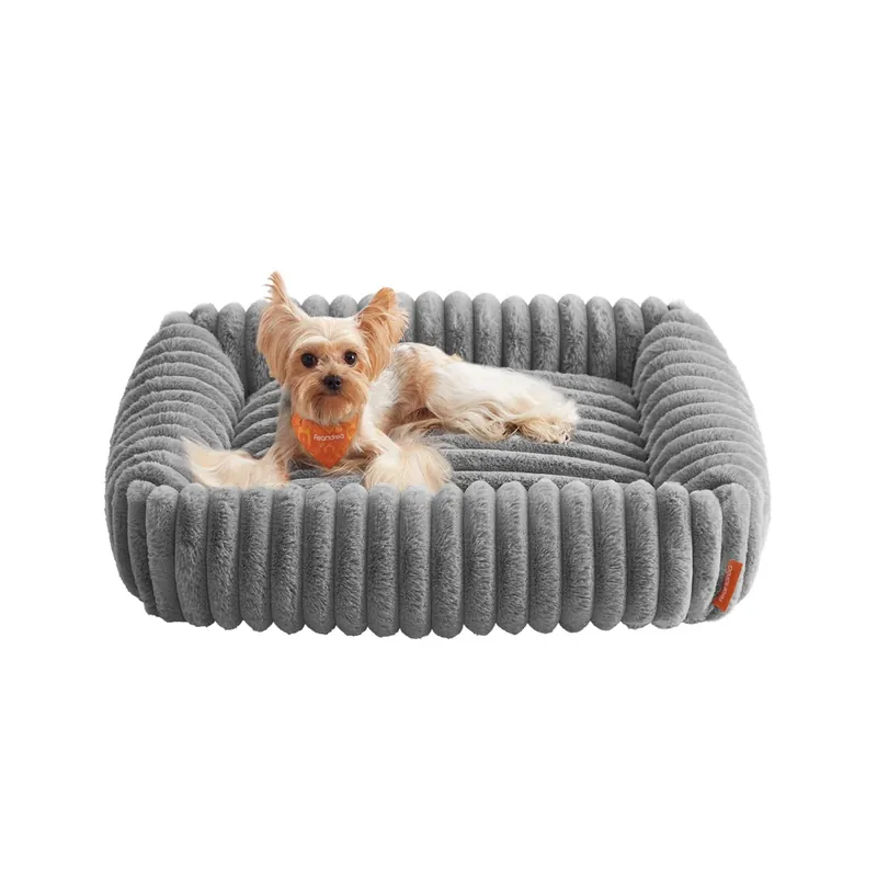 Scelto Dai Clienti Cuccia per Cani di Taglia
