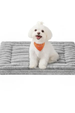 Coperta per cani e gatti lavabile e morbida per ogni stagione Offerta Lampo